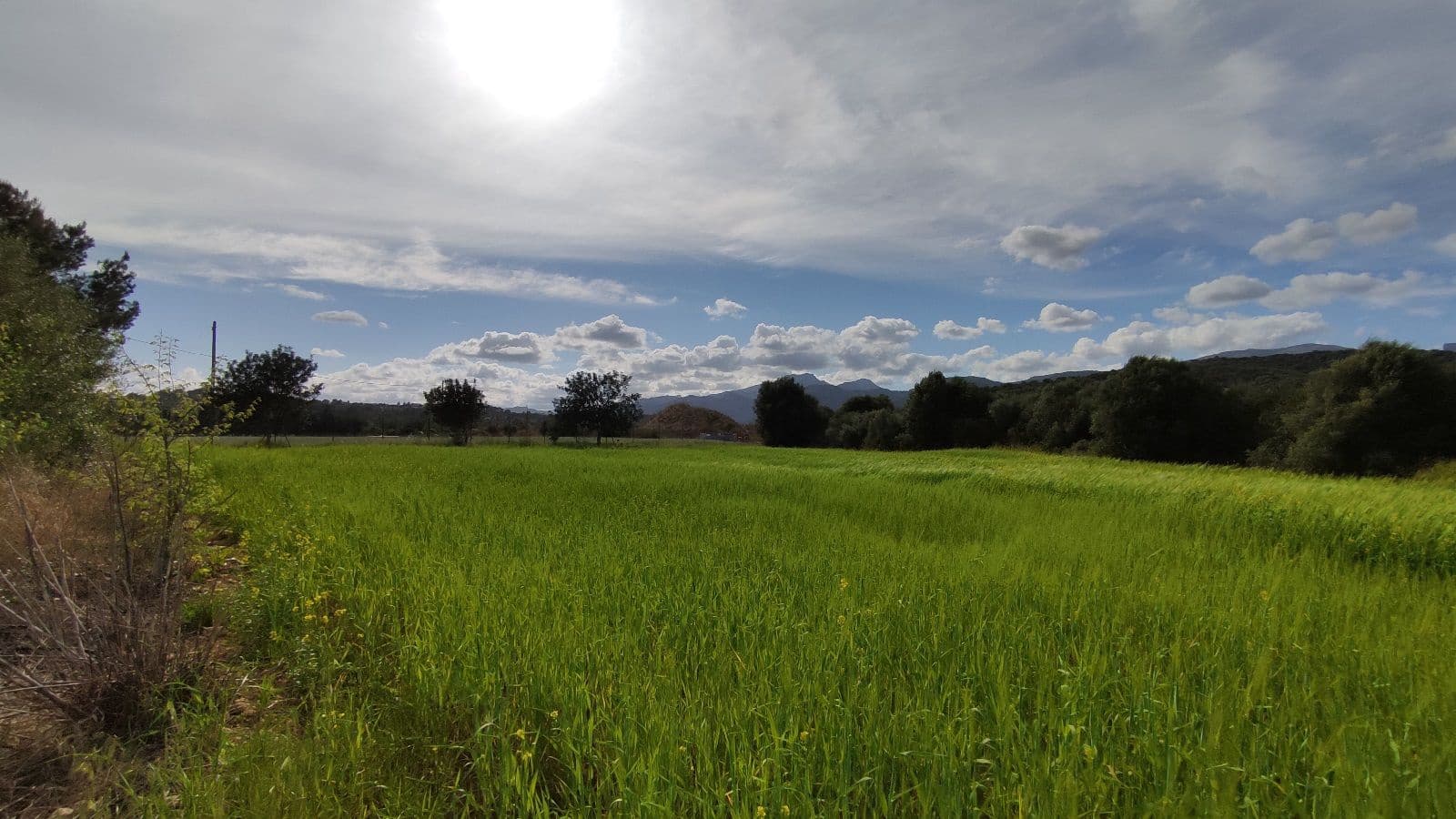 Rakentamaton maa myytävänä paikassa Campanet - 320 000 € (Ref: 9523228)