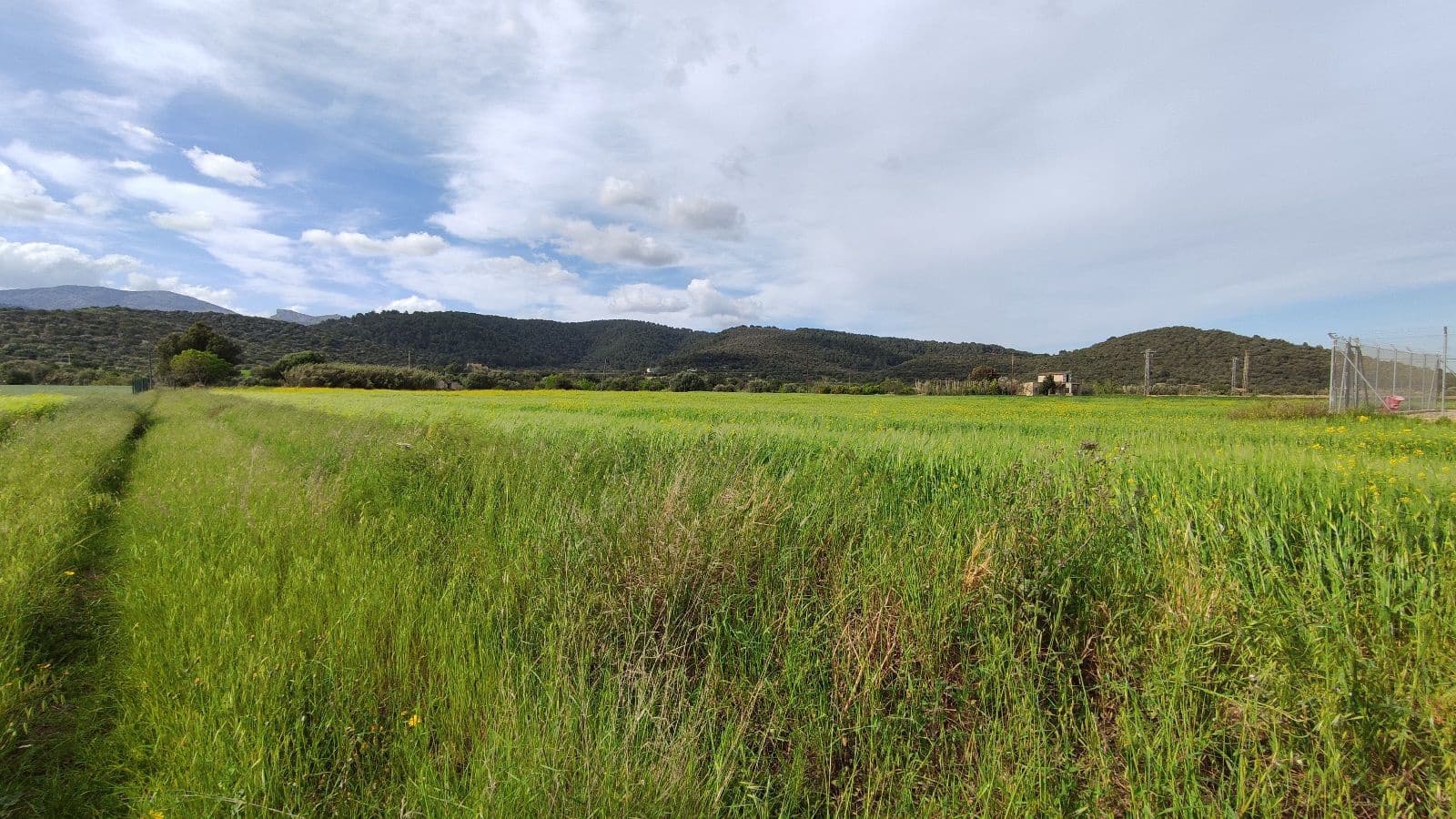 Rakentamaton maa myytävänä paikassa Campanet - 320 000 € (Ref: 9523228)