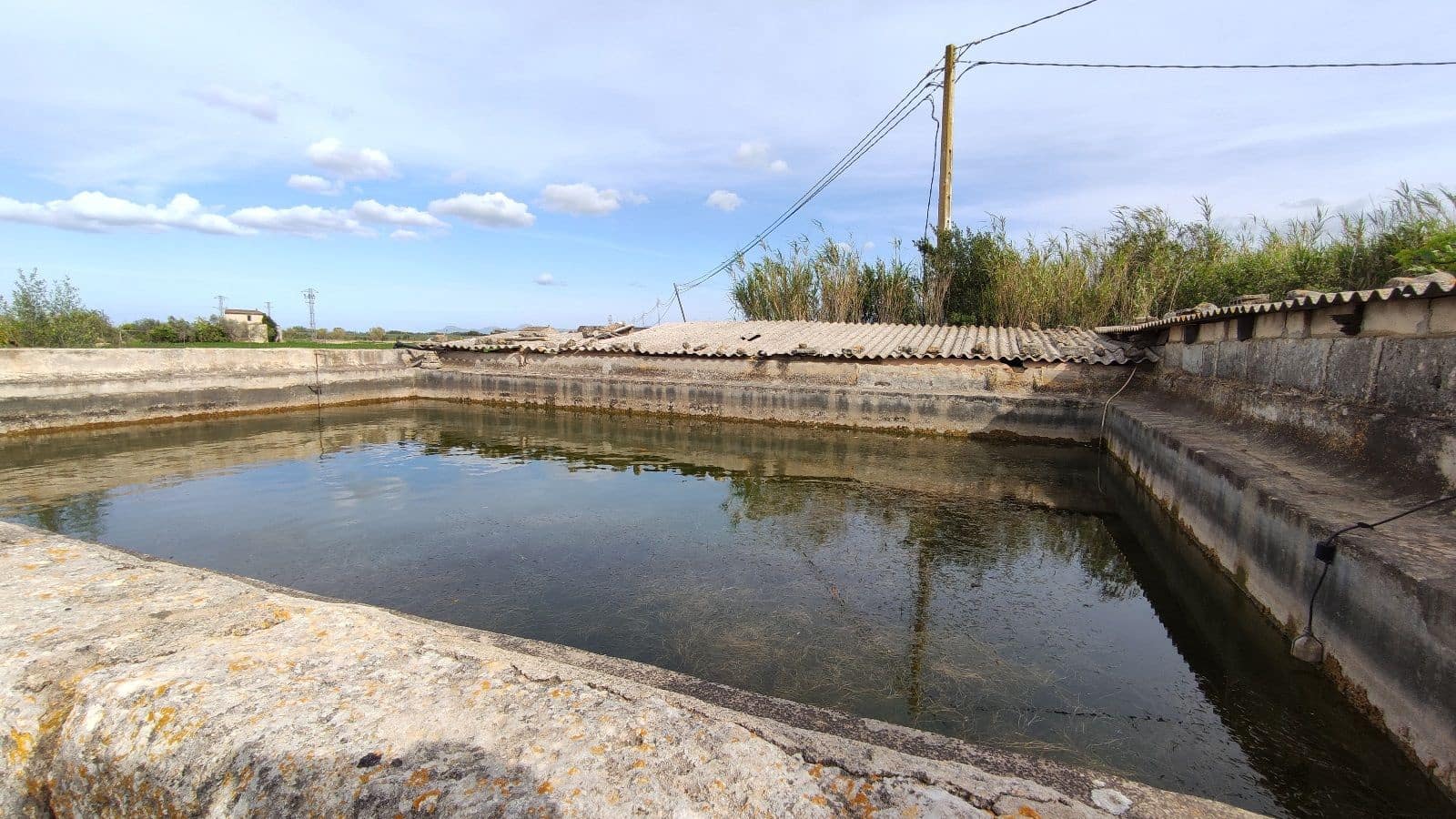 Rakentamaton maa myytävänä paikassa Campanet - 320 000 € (Ref: 9523228)