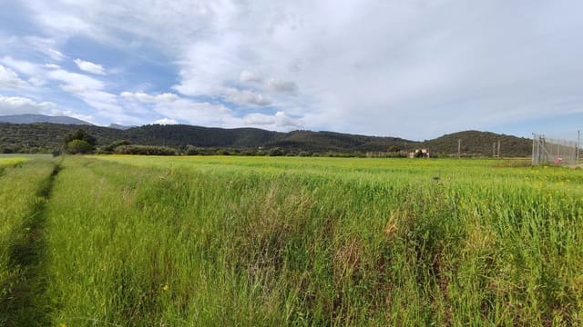 Rakentamaton maa myytävänä paikassa Campanet - 320 000 € (Ref: 9523228)