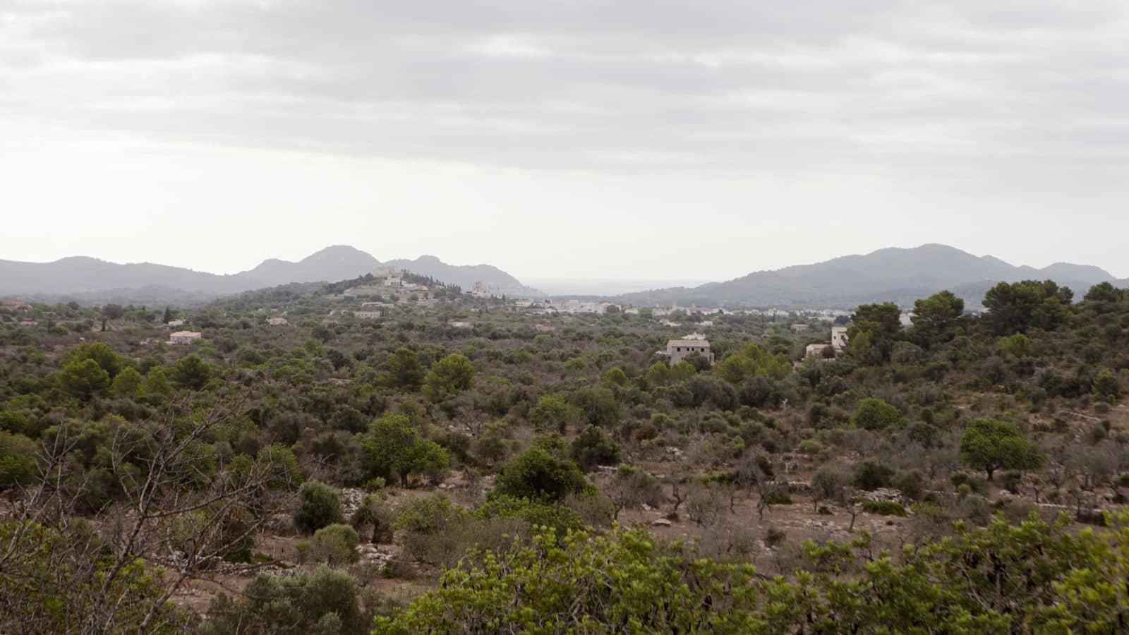 2 bedroom Finca/Country House for sale in Arta - € 1,800,000 (Ref: 9523229)