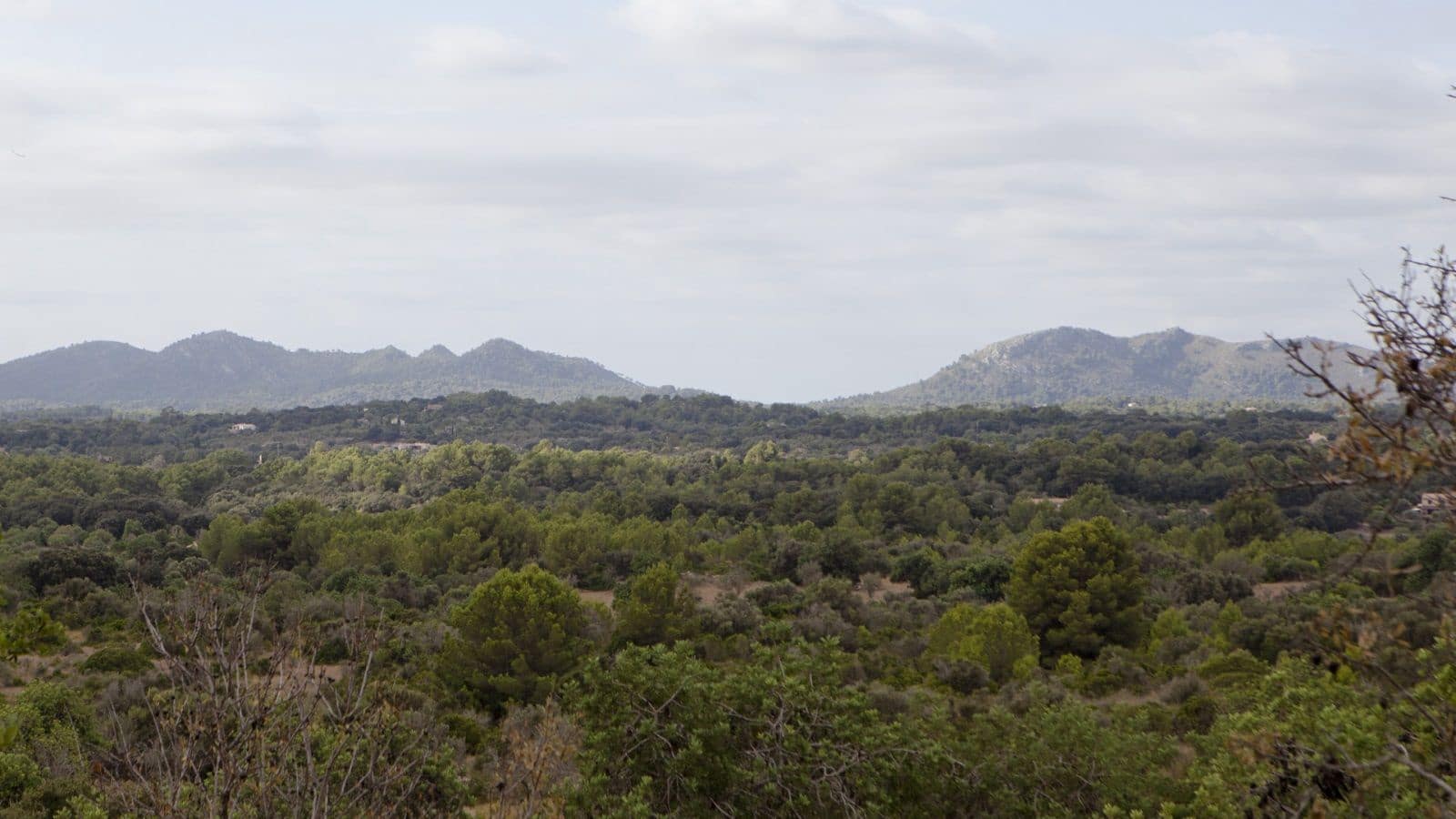 2 bedroom Finca/Country House for sale in Arta - € 1,800,000 (Ref: 9523229)