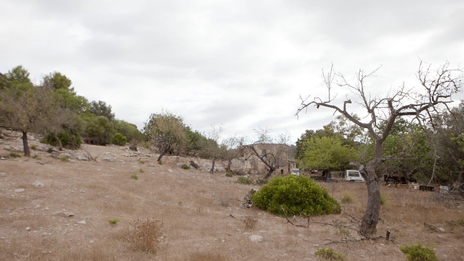 2 bedroom Finca/Country House for sale in Arta - € 1,800,000 (Ref: 9523229)