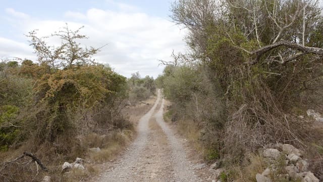 2 slaapkamer Finca/Landhuis te koop in Artà - € 1.800.000 (Ref: 9523229)