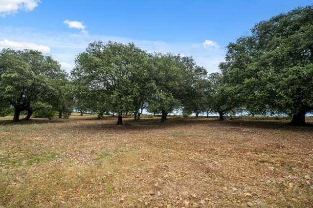 4 sypialnia Finka/Dom wiejski na sprzedaż w Manacor z garażem - 3 190 000 € (Ref: 9523233)