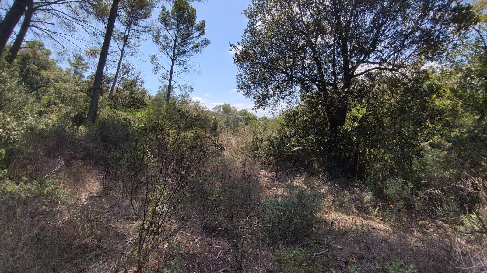 Grond te koop in Sa Pobla - € 800.000 (Ref: 9523243)