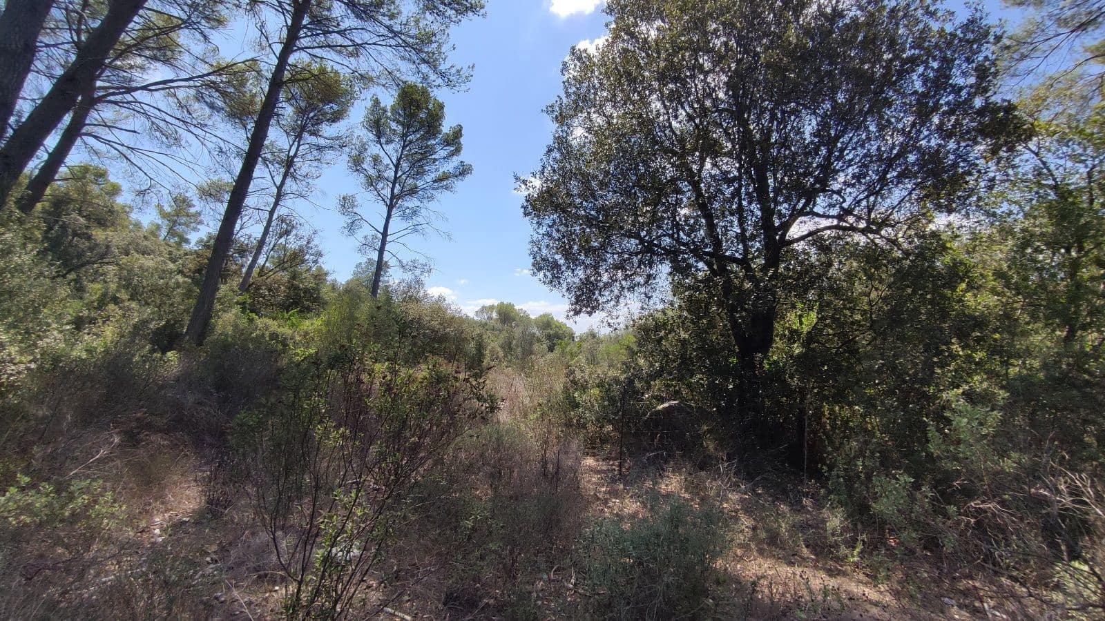 Grond te koop in Sa Pobla - € 800.000 (Ref: 9523243)