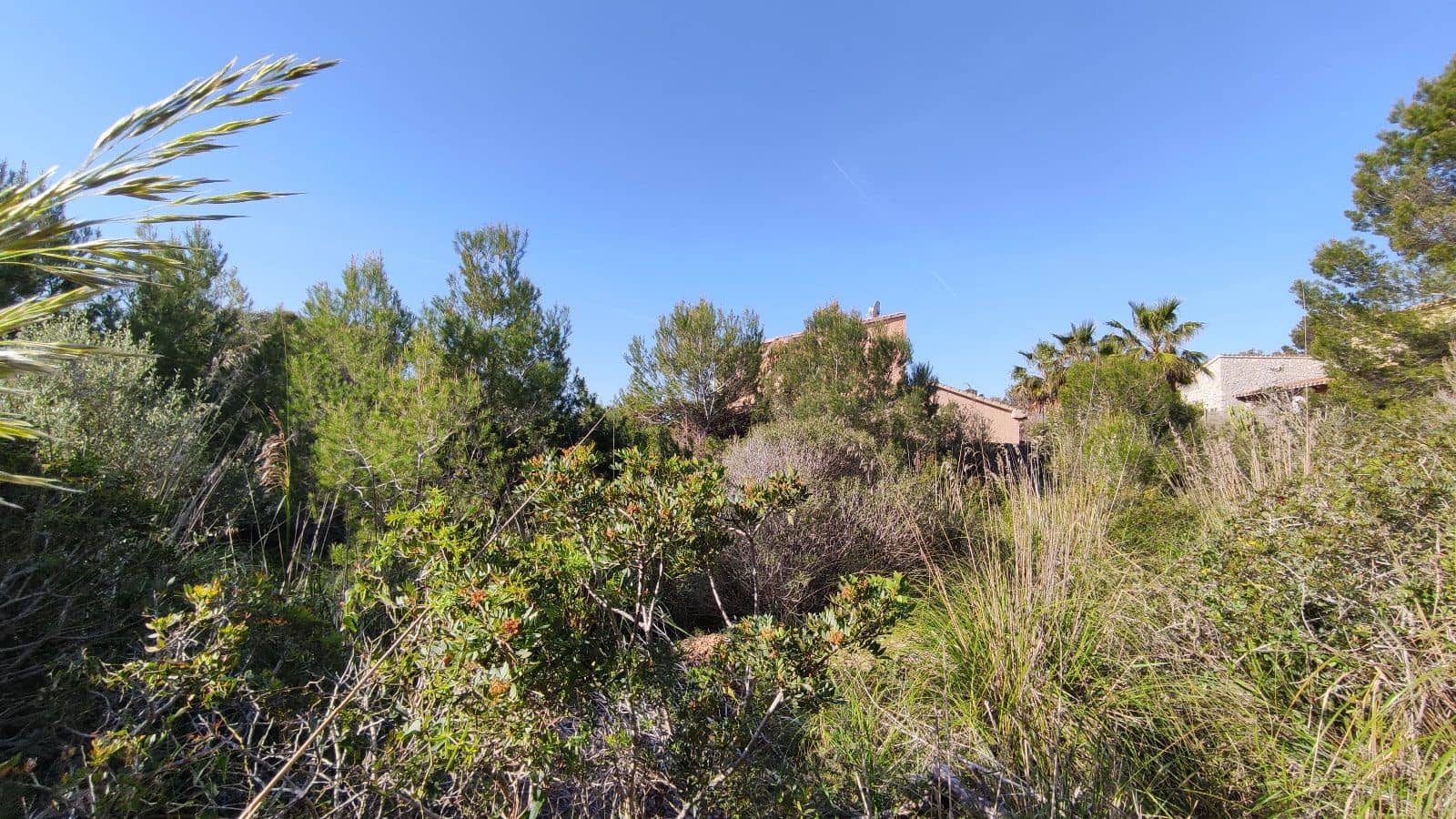 Solar/Parcela en Cala Mesquida en venta - 373.000 € (Ref: 9523245)