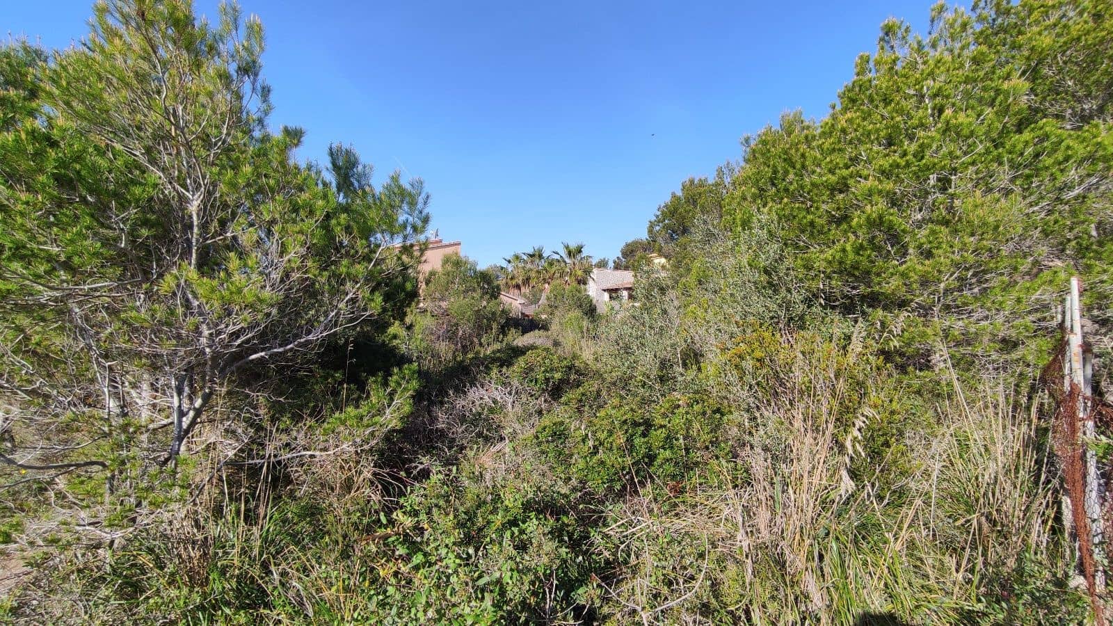 Solar/Parcela en Cala Mesquida en venta - 373.000 € (Ref: 9523245)