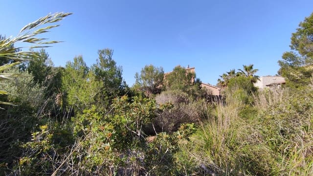 Solar/Parcela en Cala Mesquida, Capdepera en venta - 373.000 € (Ref: 9523245)