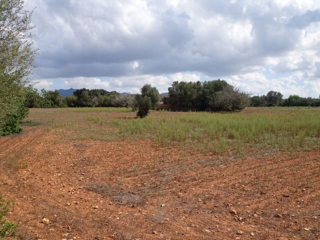 Teren niezagospodarowany na sprzedaż w Felanitx - 375 000 € (Ref: 9525757)