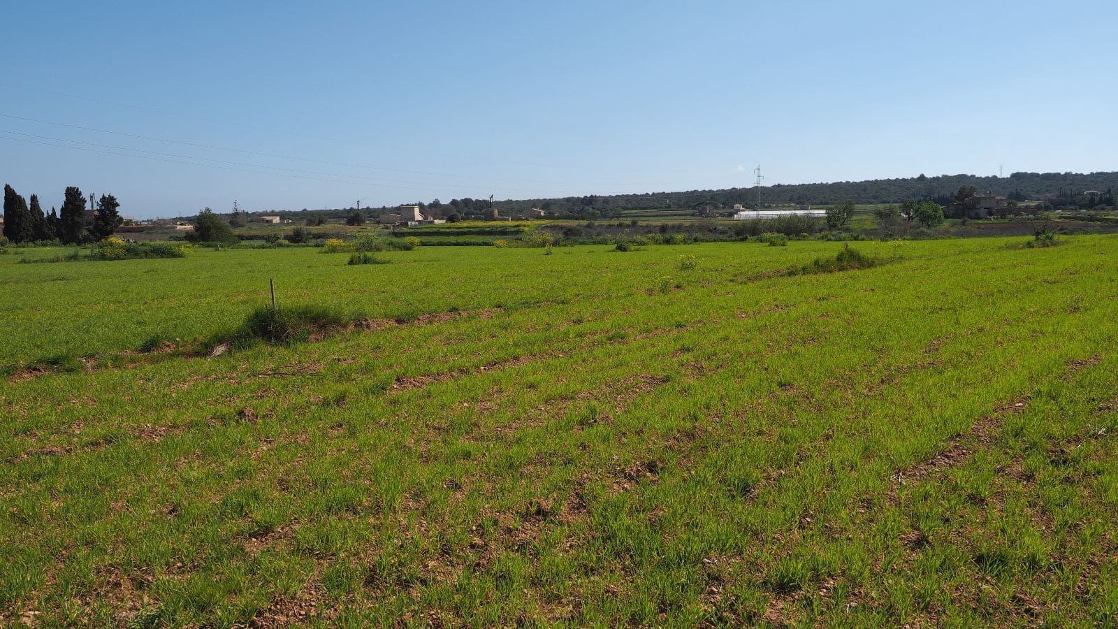 Finca/Hus på landet till salu i Sa Pobla med garage - 499 000 € (Ref: 9553146)