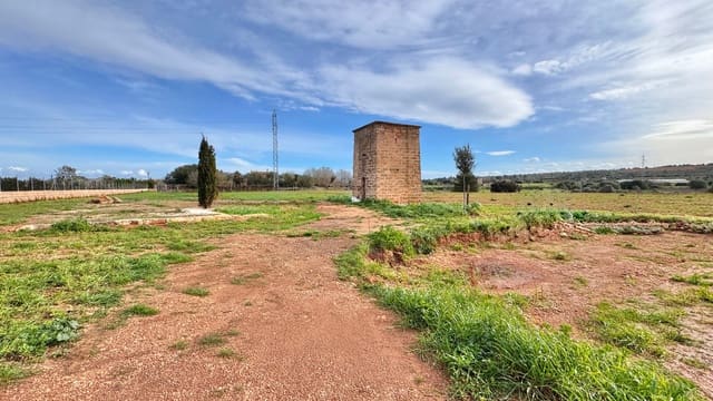 Maalaistalo myytävänä paikassa Sa Pobla mukana 
autotalli - 499 000 € (Ref: 9553146)