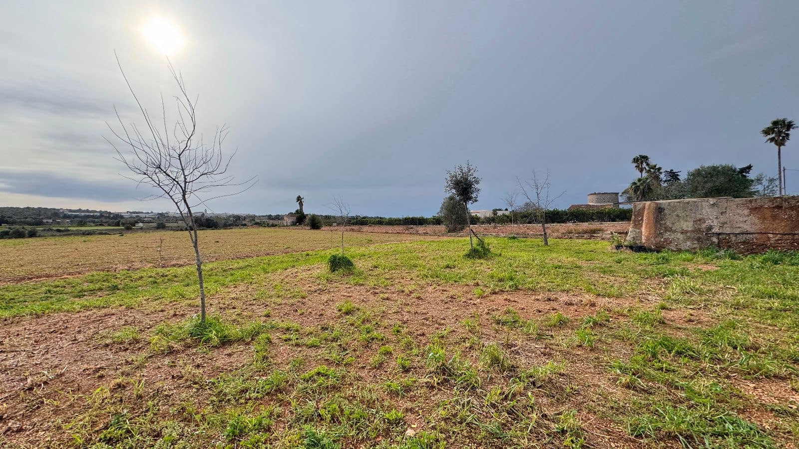 Finca/Hus på landet till salu i Sa Pobla med garage - 499 000 € (Ref: 9553146)