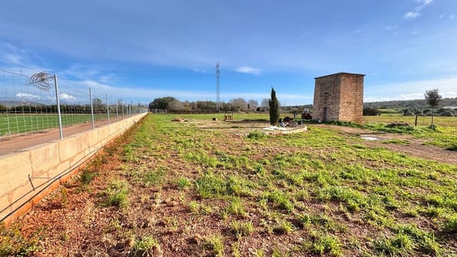 Maalaistalo myytävänä paikassa Sa Pobla mukana 
autotalli - 499 000 € (Ref: 9553146)