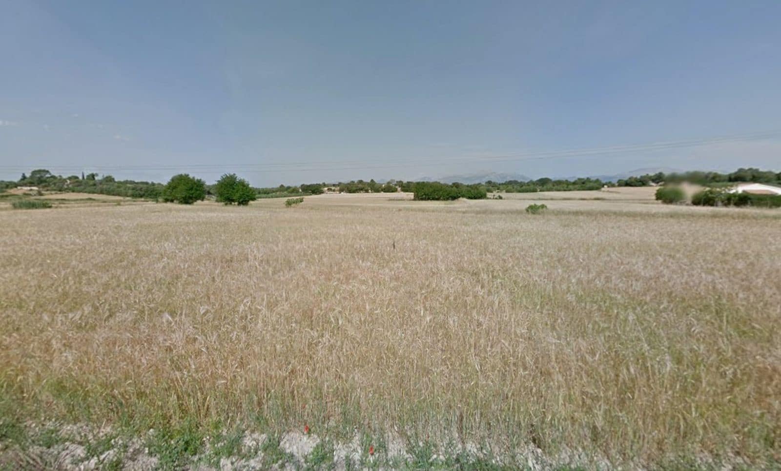 Rakentamaton maa myytävänä paikassa Muro - 175 000 € (Ref: 9599910)