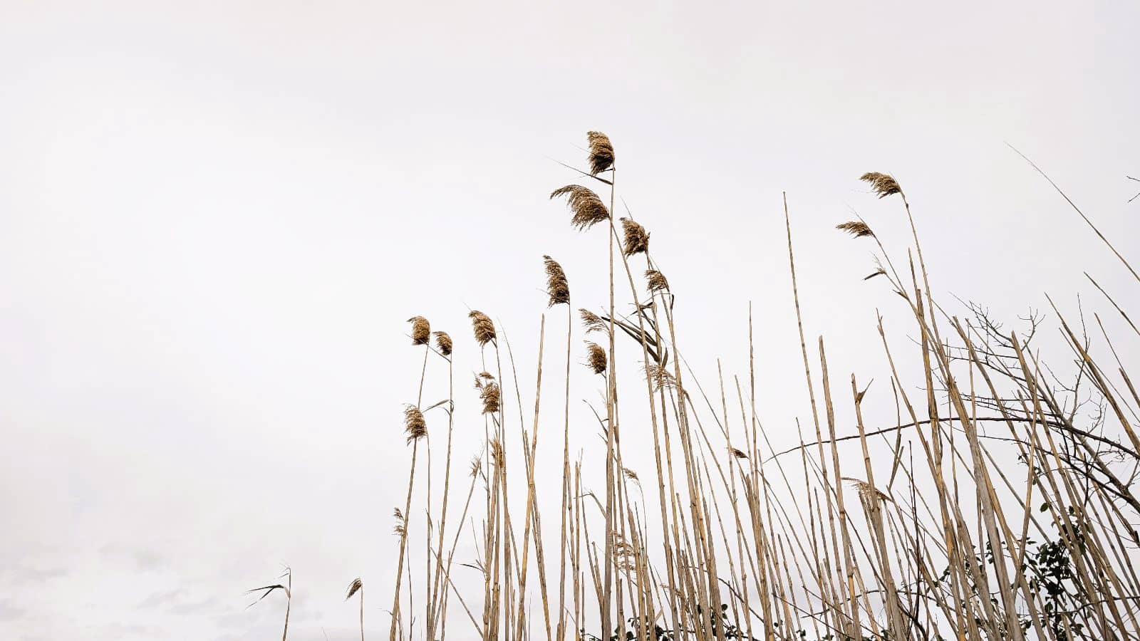 Rakentamaton maa myytävänä paikassa Muro - 175 000 € (Ref: 9599910)