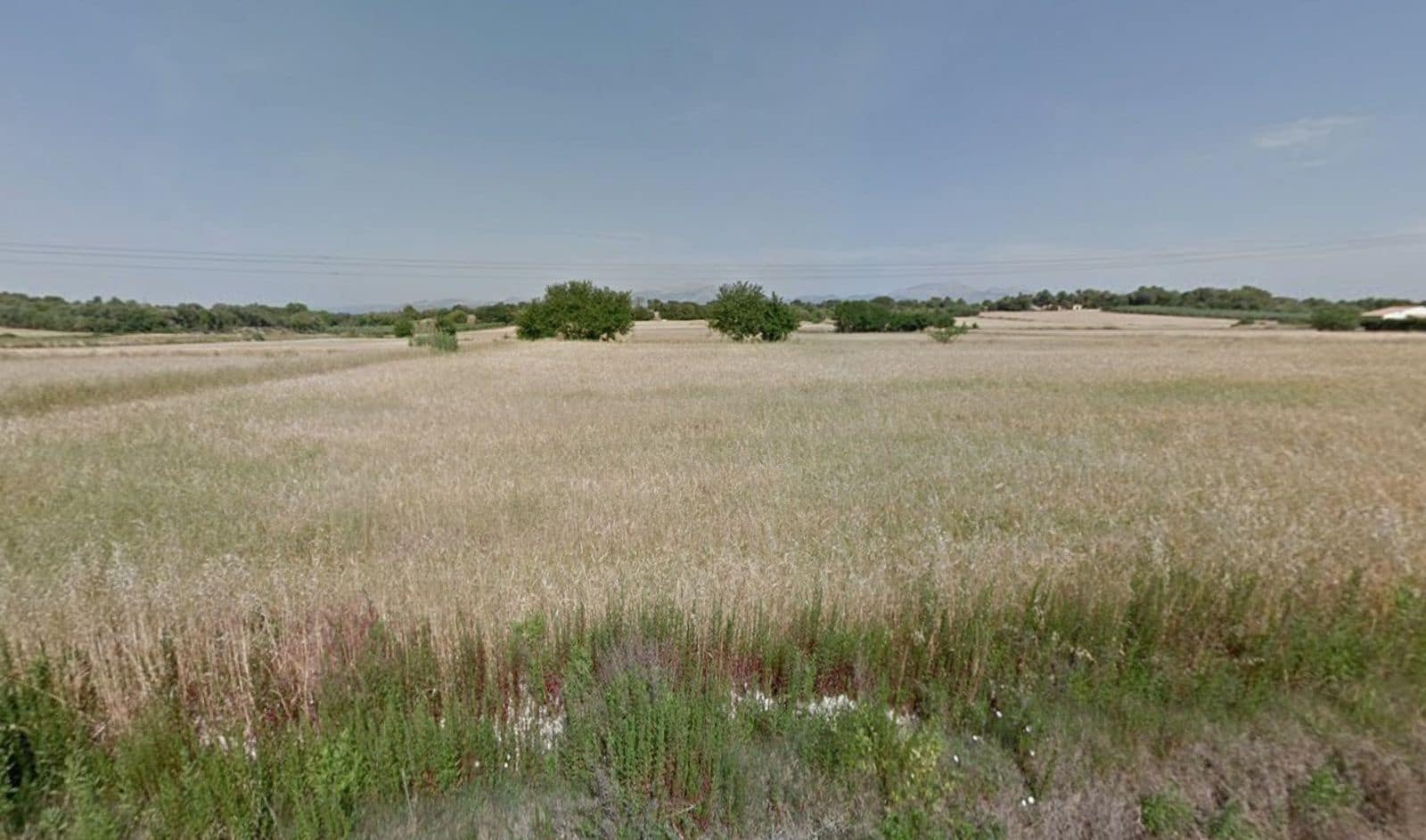 Rakentamaton maa myytävänä paikassa Muro - 175 000 € (Ref: 9599910)