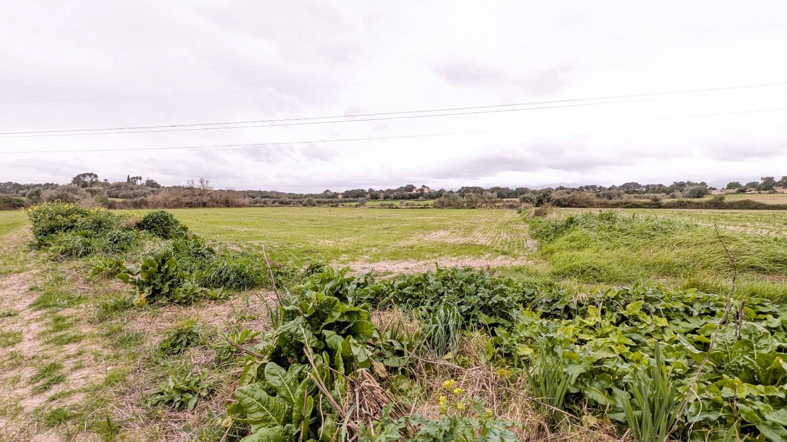 Rakentamaton maa myytävänä paikassa Muro - 175 000 € (Ref: 9599910)