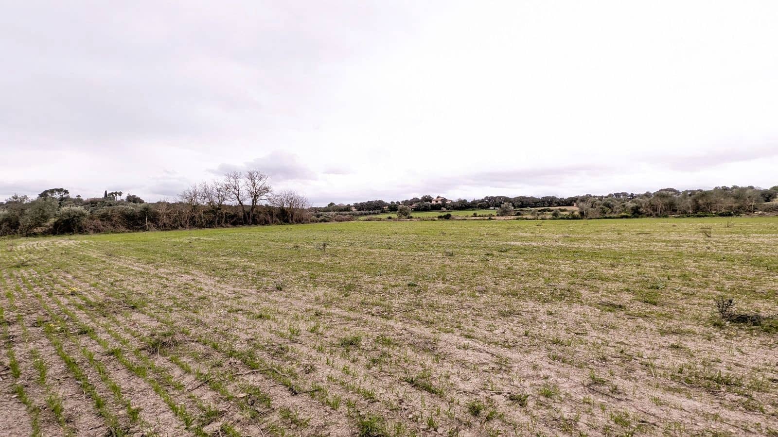 Rakentamaton maa myytävänä paikassa Muro - 175 000 € (Ref: 9599910)