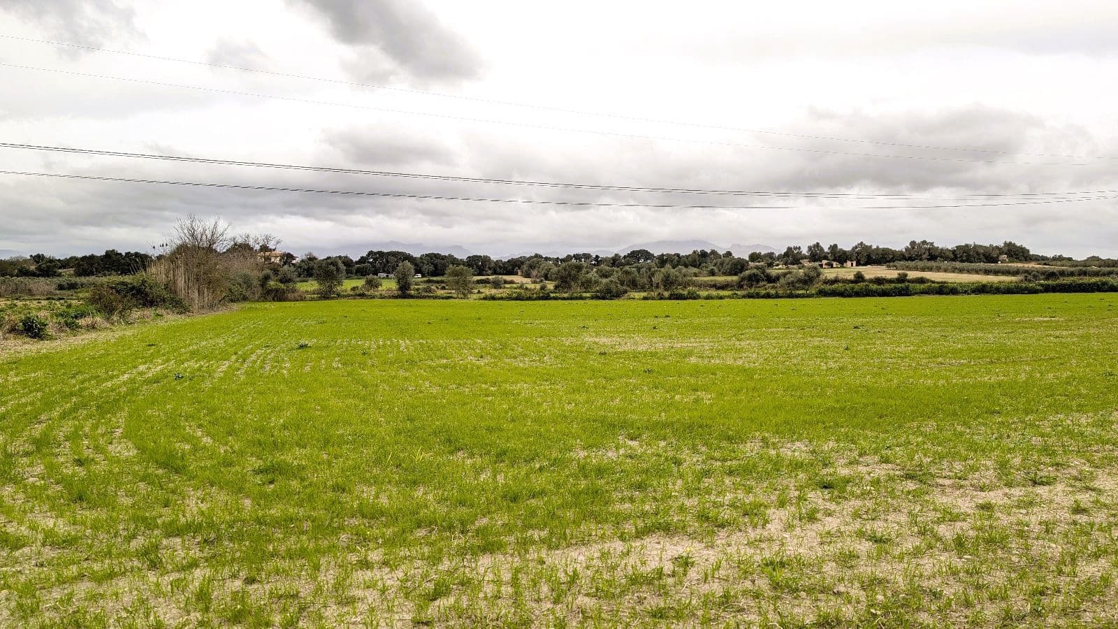 Rakentamaton maa myytävänä paikassa Muro - 175 000 € (Ref: 9599910)