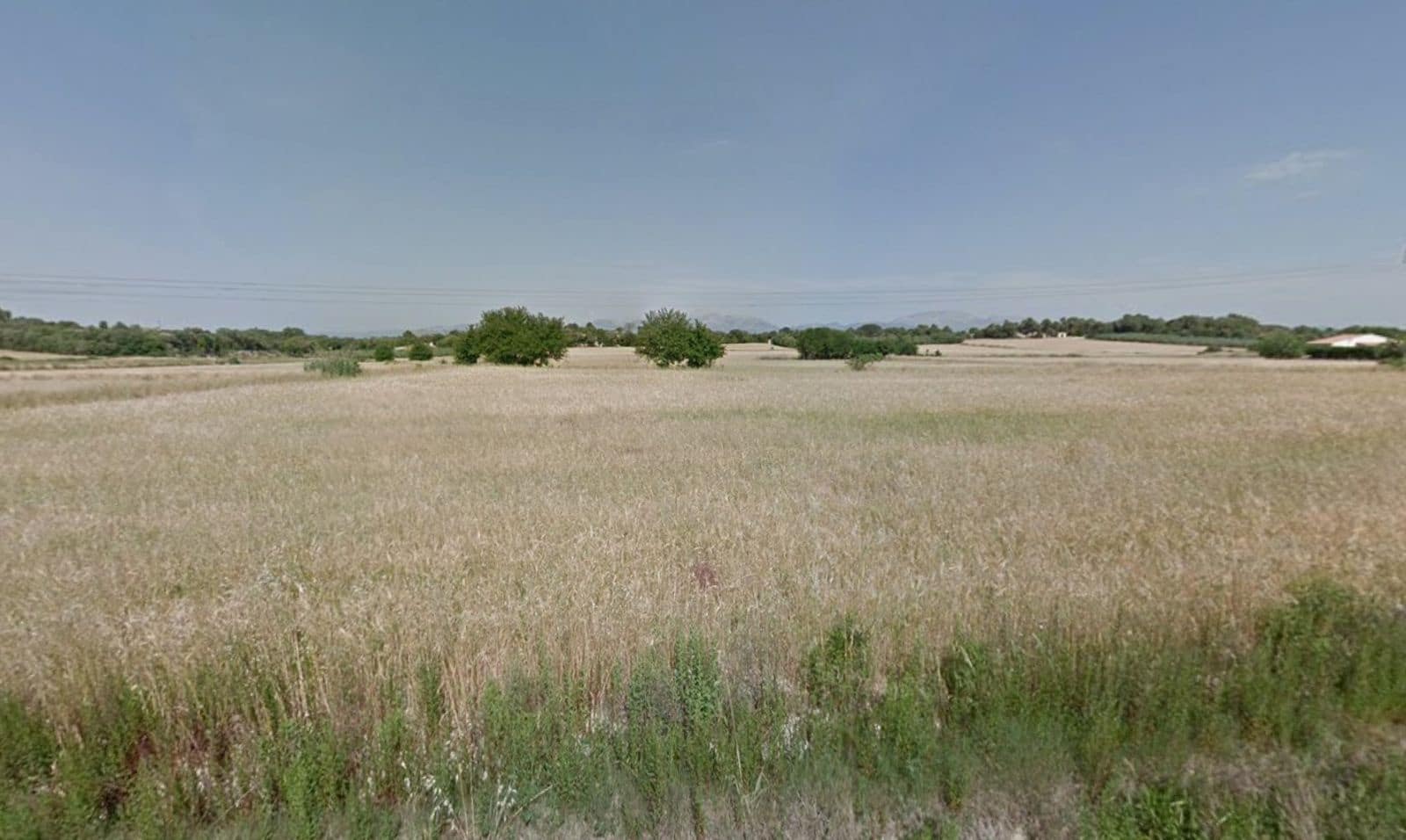 Rakentamaton maa myytävänä paikassa Muro - 175 000 € (Ref: 9599910)