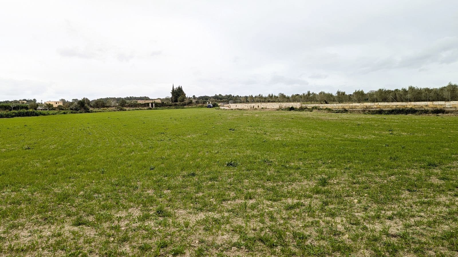 Rakentamaton maa myytävänä paikassa Muro - 175 000 € (Ref: 9599910)