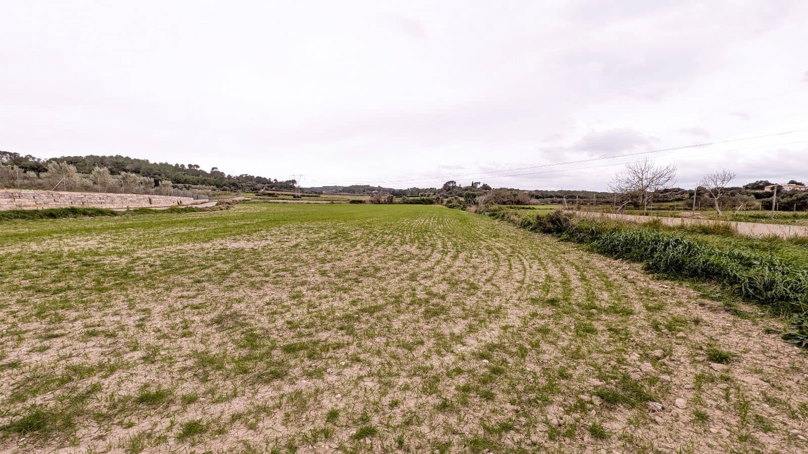 Rakentamaton maa myytävänä paikassa Muro - 175 000 € (Ref: 9599910)