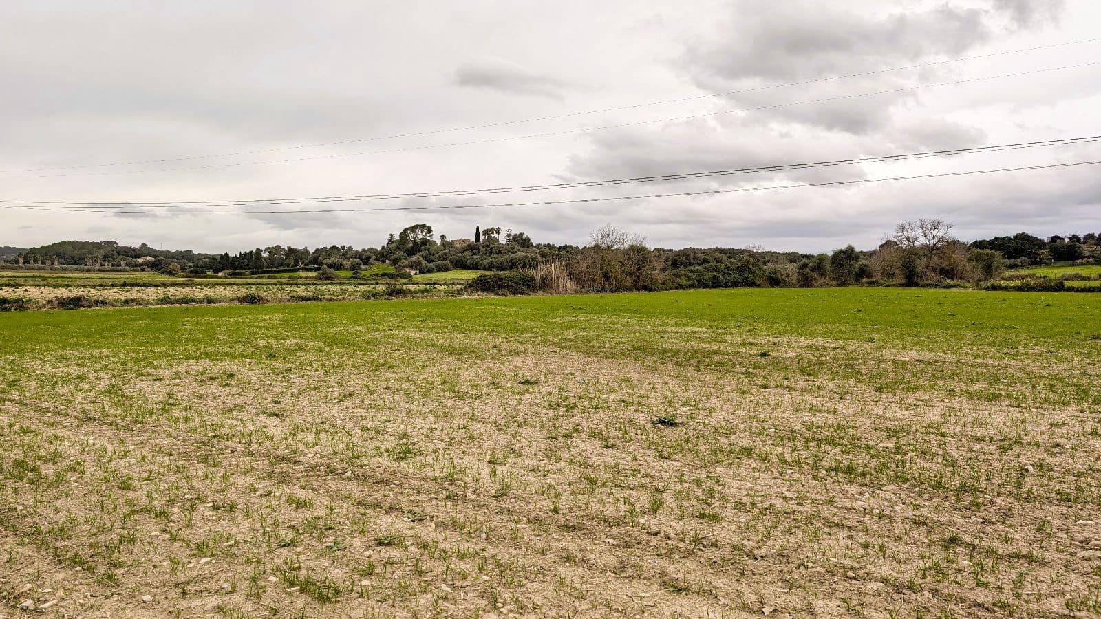 Rakentamaton maa myytävänä paikassa Muro - 175 000 € (Ref: 9599910)