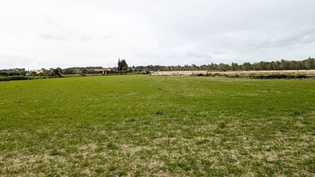 Rakentamaton maa myytävänä paikassa Muro - 175 000 € (Ref: 9599910)