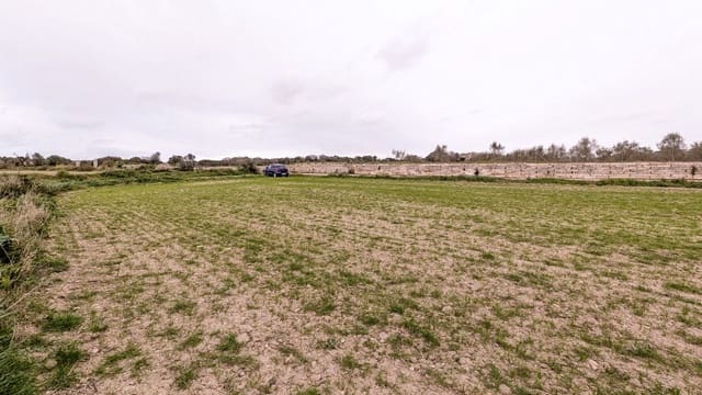 Rakentamaton maa myytävänä paikassa Muro - 175 000 € (Ref: 9599910)