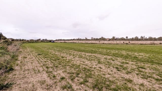 Rakentamaton maa myytävänä paikassa Muro - 175 000 € (Ref: 9599910)