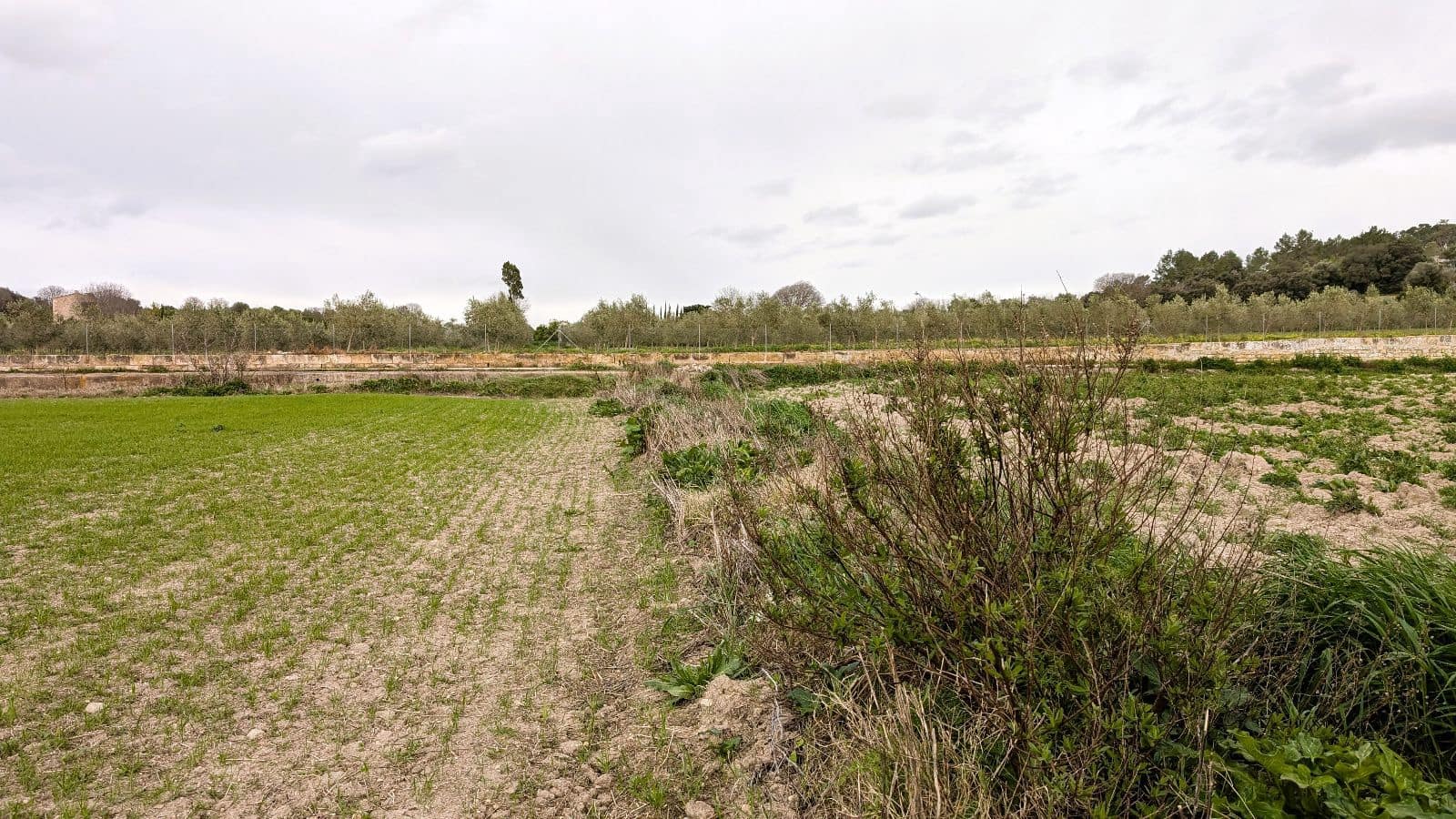 Rakentamaton maa myytävänä paikassa Muro - 175 000 € (Ref: 9599910)