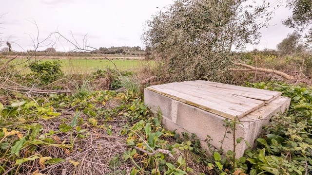 Rakentamaton maa myytävänä paikassa Muro - 175 000 € (Ref: 9599910)