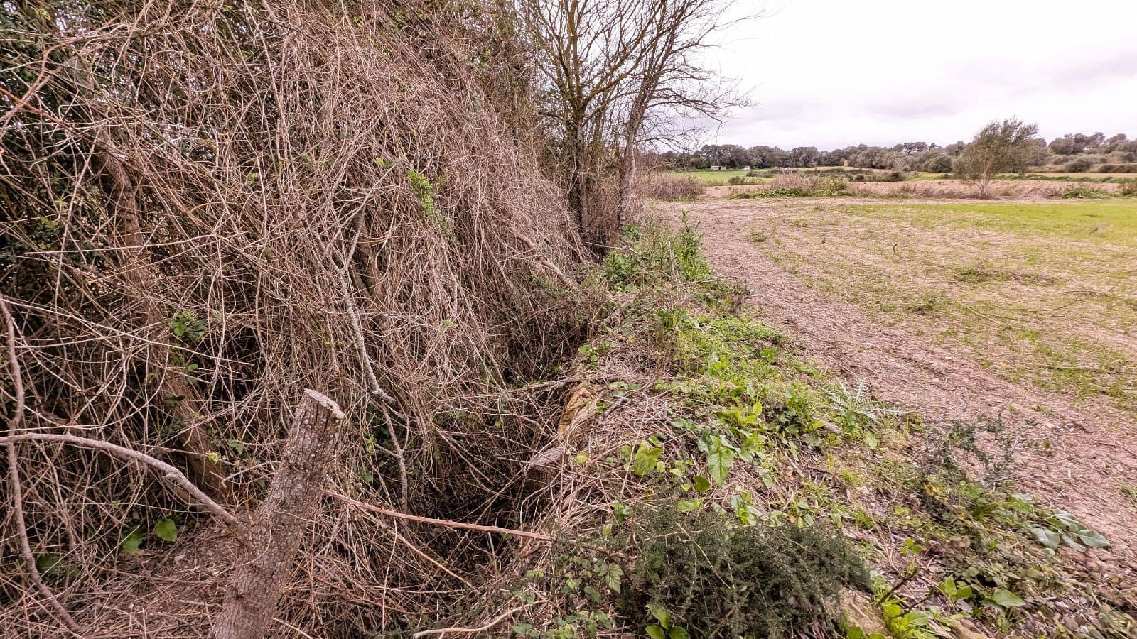 Rakentamaton maa myytävänä paikassa Muro - 175 000 € (Ref: 9599910)