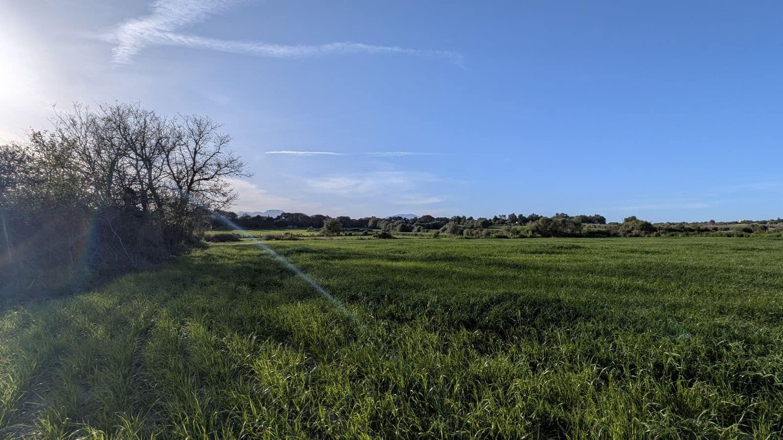 Undeveloped Land for sale in Muro - € 169,000 (Ref: 9599910)
