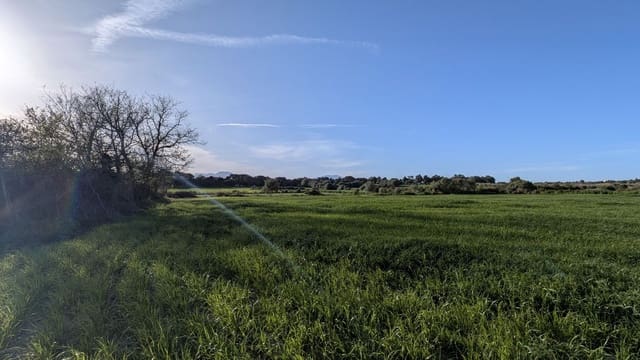 Rakentamaton maa myytävänä paikassa Muro - 175 000 € (Ref: 9599910)