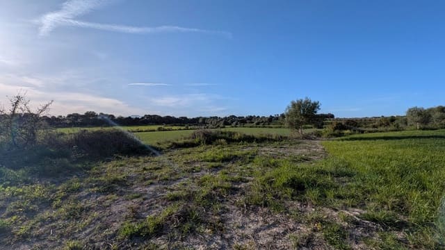 Rakentamaton maa myytävänä paikassa Muro - 175 000 € (Ref: 9599910)