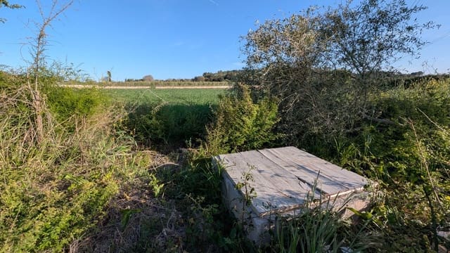 Rakentamaton maa myytävänä paikassa Muro - 175 000 € (Ref: 9599910)