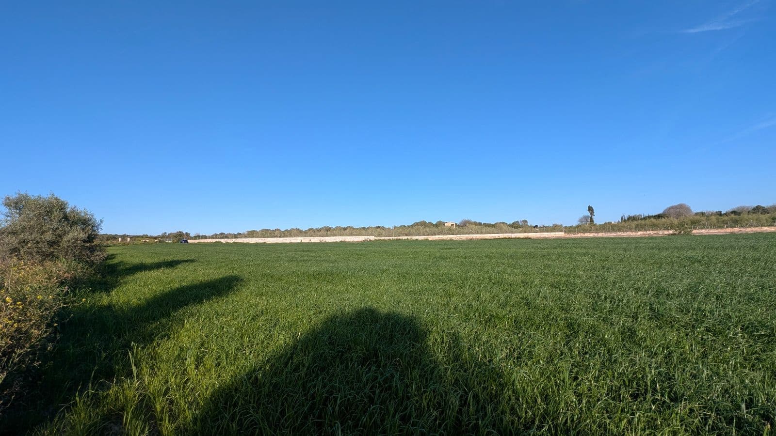 Undeveloped Land for sale in Muro - € 169,000 (Ref: 9599910)