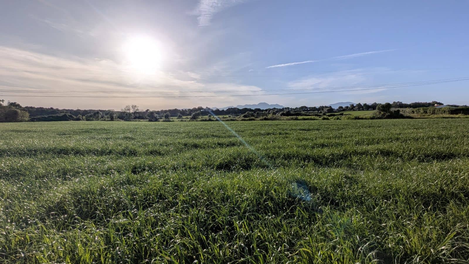 Undeveloped Land for sale in Muro - € 169,000 (Ref: 9599910)