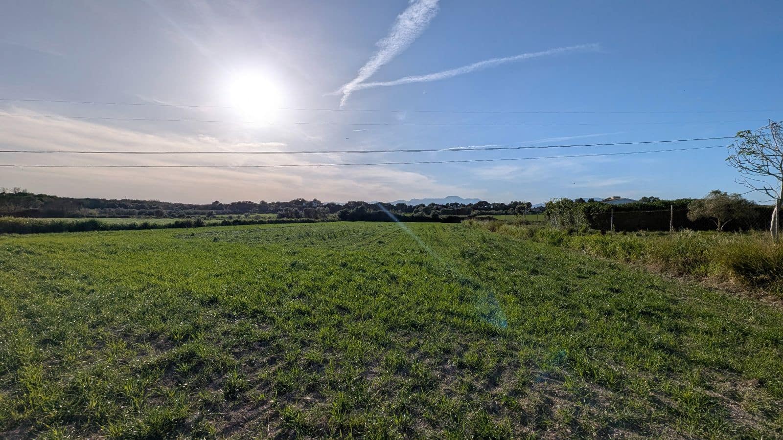 Undeveloped Land for sale in Muro - € 169,000 (Ref: 9599910)