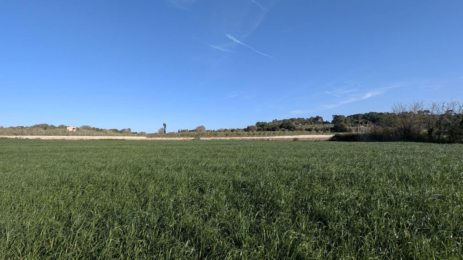 Undeveloped Land for sale in Muro - € 169,000 (Ref: 9599910)
