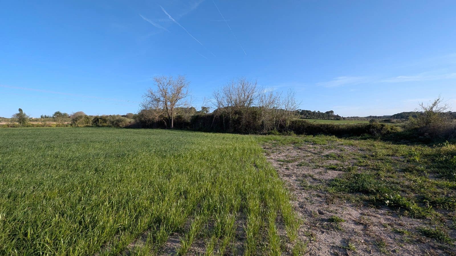 Undeveloped Land for sale in Muro - € 169,000 (Ref: 9599910)