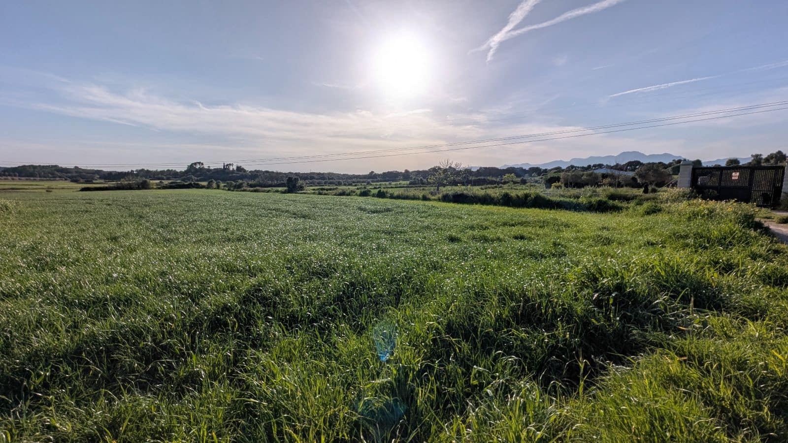 Undeveloped Land for sale in Muro - € 169,000 (Ref: 9599910)