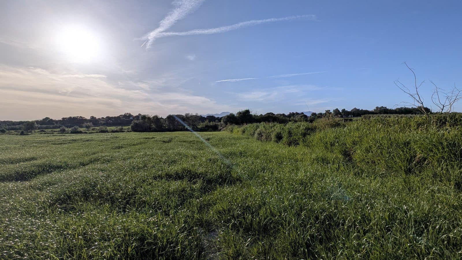 Undeveloped Land for sale in Muro - € 169,000 (Ref: 9599910)