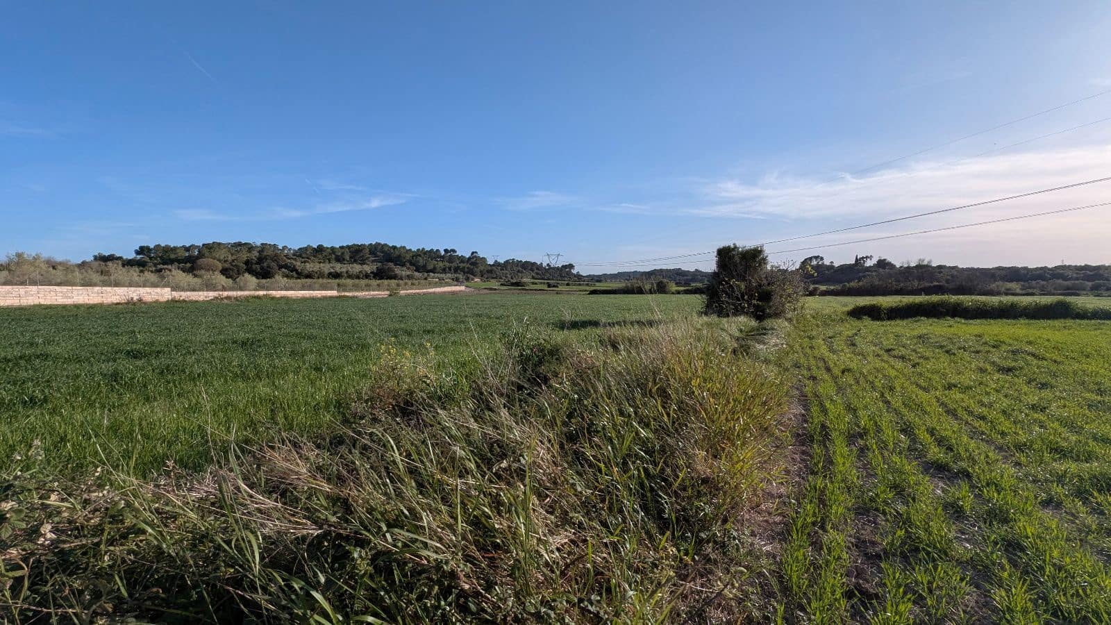 Undeveloped Land for sale in Muro - € 169,000 (Ref: 9599910)