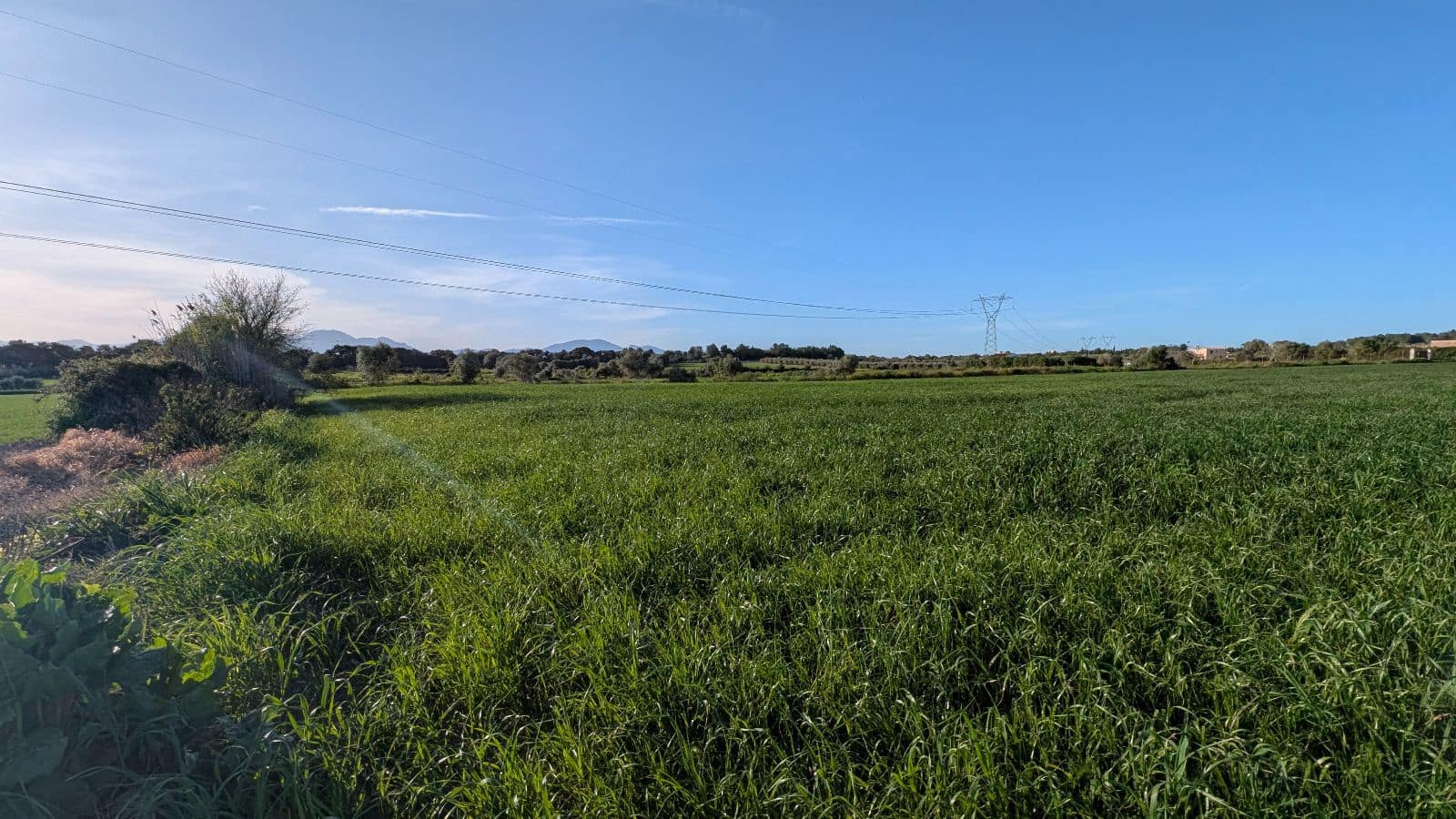 Undeveloped Land for sale in Muro - € 169,000 (Ref: 9599910)