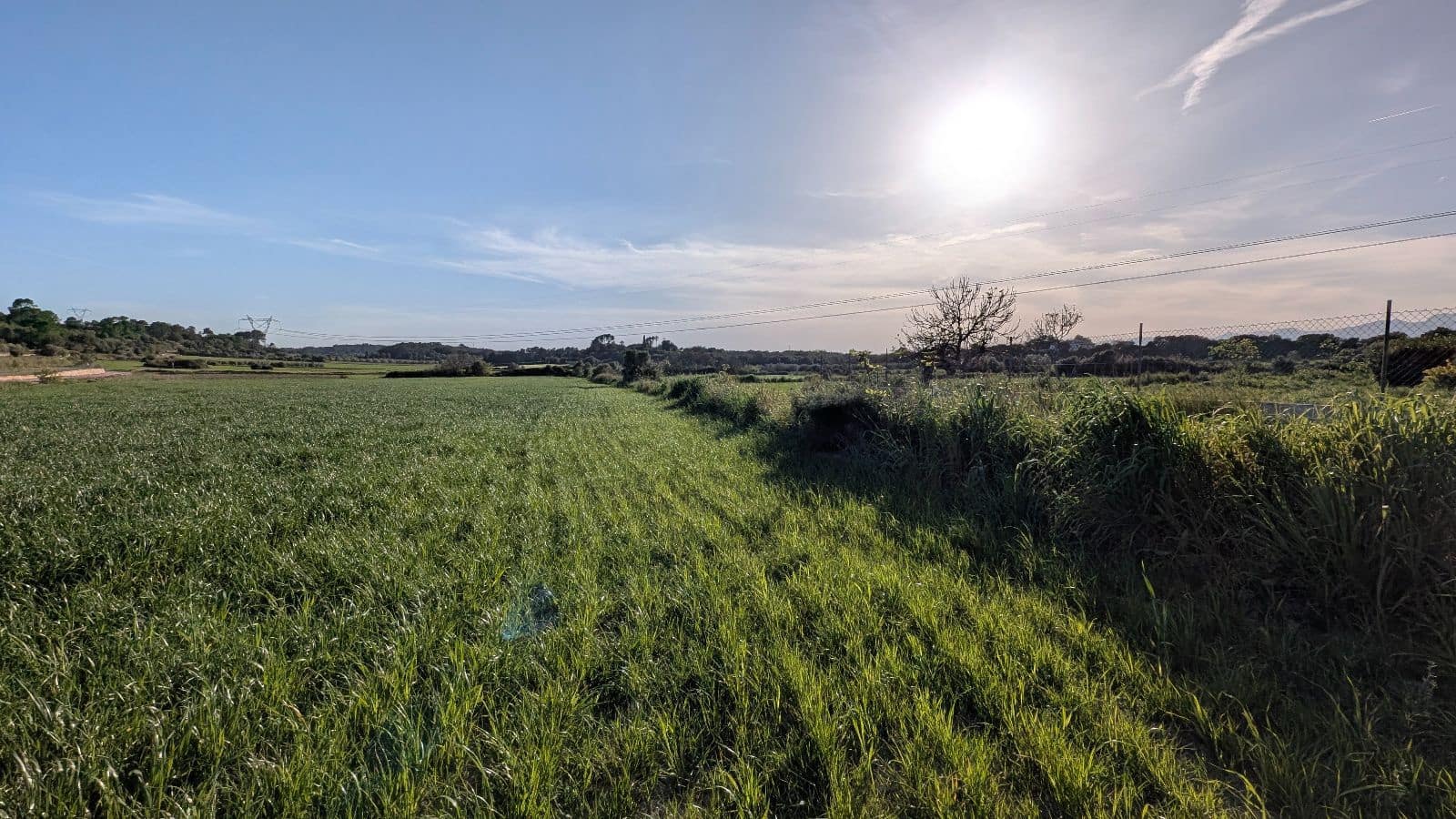 Undeveloped Land for sale in Muro - € 169,000 (Ref: 9599910)