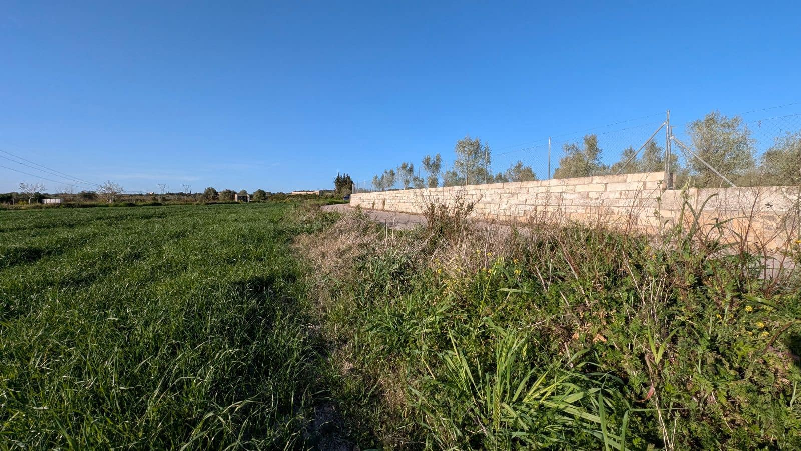 Undeveloped Land for sale in Muro - € 169,000 (Ref: 9599910)